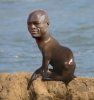 funny-Seal-animal-singer-head.jpg