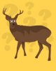 noeyedeer.jpg